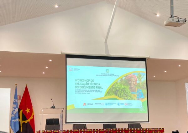 AASCS-EPT Participa no Workshop de Apresentação da Estratégia Nacional de Reconversão dos Sistemas Agroalimentares 2026-2035